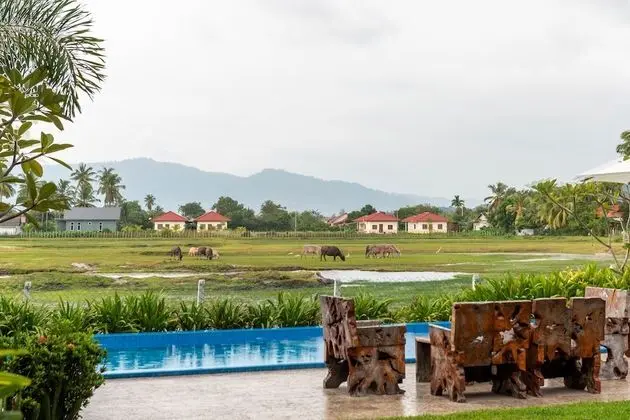 Bantul Villa