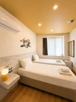 Basic Tek Büyük Yataklı Oda, Şehir Manzaralı