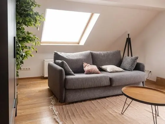 Loft with Rooftop Terrace