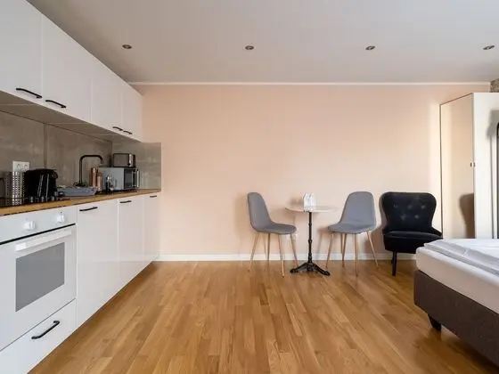 Apart Daire, 1 Büyük (Queen) Boy Yatak, Bahçe Manzaralı (limehome Dresden Tannenstraße | Suite)