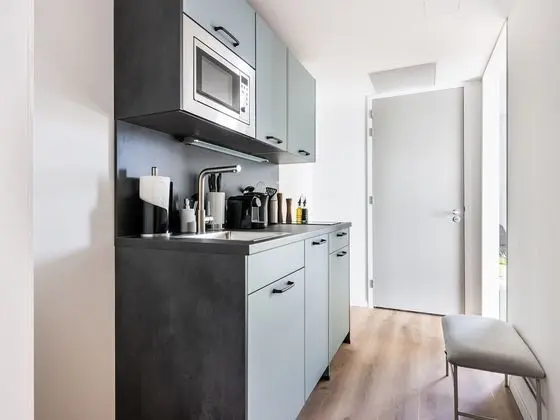 Apart Daire, Birden Çok Yatak (limehome Eindhoven Gashouder|Suite+So)
