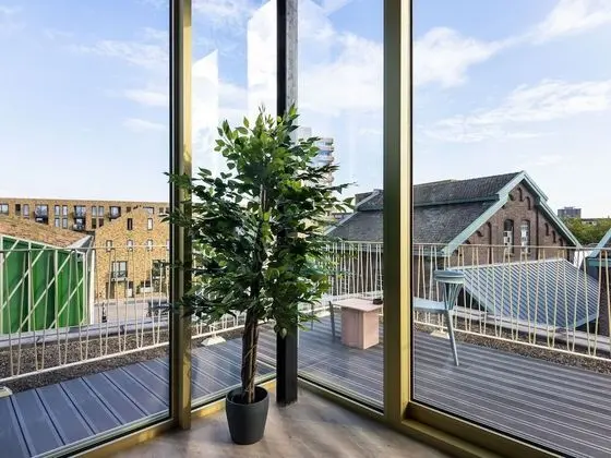 Apart Daire, Birden Çok Yatak (limehome Eindhoven Gashouder|Suite+So)