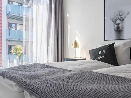 Apart Daire, 1 Büyük (Queen) Boy Yatak ve Çekyat (limehome Erfurt Welsch-Str. | Suite L)