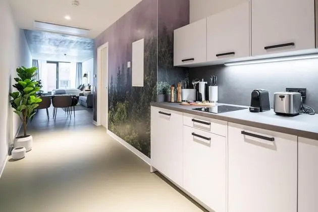 Apart Daire, 1 Büyük (Queen) Boy Yatak ve Çekyat (limehome Erfurt Welsch-Str. | Suite L)