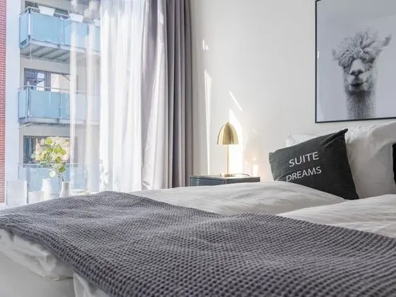 Apart Daire, 1 Büyük (Queen) Boy Yatak ve Çekyat (limehome Erfurt Welsch-Str. | Suite L)