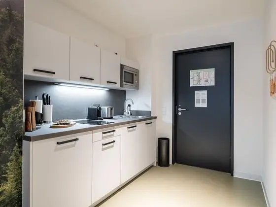 Apart Daire, 1 Büyük (Queen) Boy Yatak ve Çekyat (limehome Erfurt Welsch-Str. | Suite L)