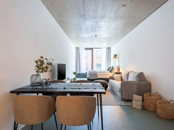 Apart Daire, 1 Büyük (Queen) Boy Yatak ve Çekyat (limehome Erfurt Welsch-Str. | Suite L)