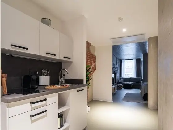 Apart Daire, 1 Büyük (Queen) Boy Yatak ve Çekyat (limehome Erfurt Welsch-Str. | Suite X)