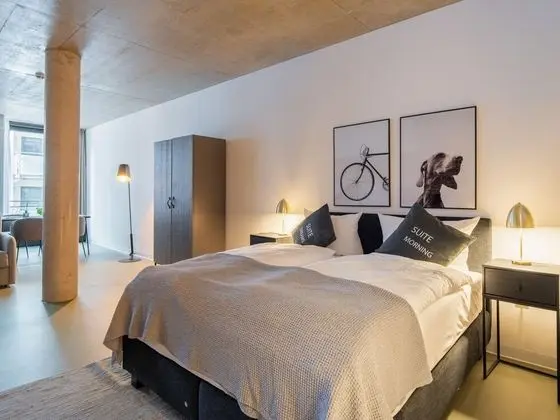 Apart Daire, 1 Büyük (Queen) Boy Yatak ve Çekyat (limehome Erfurt Welsch-Str. | Suite X)