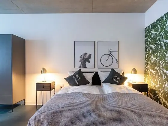Apart Daire, 1 Büyük (Queen) Boy Yatak ve Çekyat (limehome Erfurt Welsch-Str. | Suite X)
