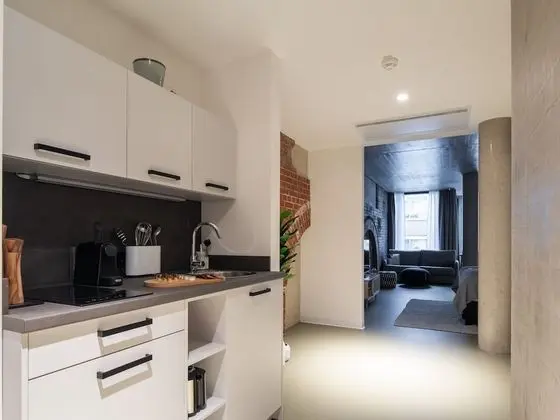Apart Daire, 1 Büyük (Queen) Boy Yatak ve Çekyat (limehome Erfurt Welsch-Str. | Suite X)