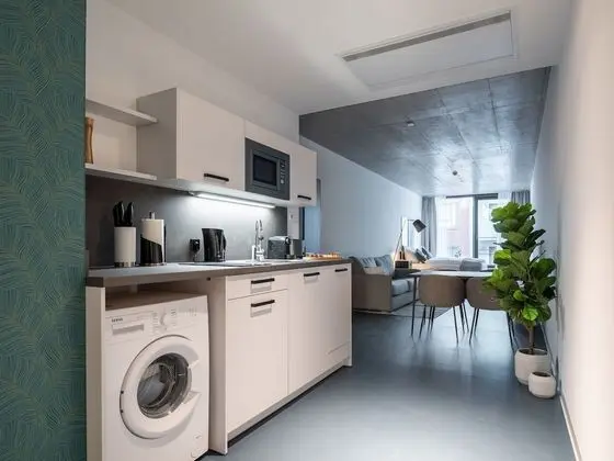 Apart Daire, 1 Büyük (Queen) Boy Yatak ve Çekyat (limehome Erfurt Welsch-Str. | Suite X)