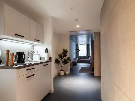Apart Daire, 1 Büyük (Queen) Boy Yatak ve Çekyat (limehome Erfurt Welsch-Str. | Suite X)