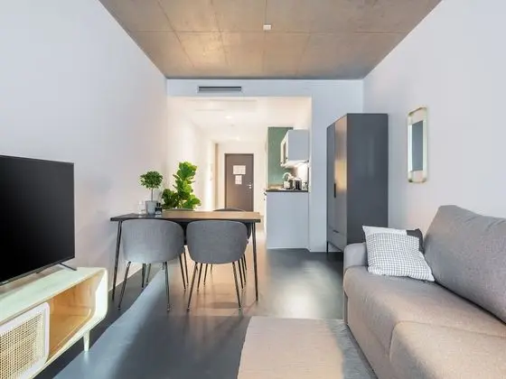 Apart Daire, 1 Büyük (Queen) Boy Yatak ve Çekyat (limehome Erfurt Welsch-Str. | Suite X)