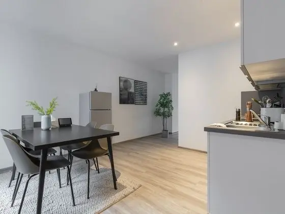 Apart Daire, 1 Büyük (Queen) Boy Yatak ve Çekyat (Essen Kibbelstr | Suite XL + Sofa Bed)