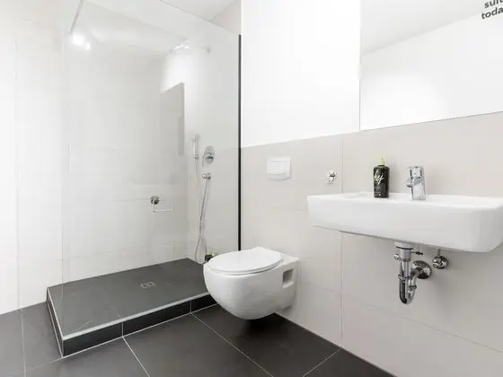 Apart Daire, 1 Büyük (Queen) Boy Yatak ve Çekyat (limehome Leipzig Jahnallee | Suite L )