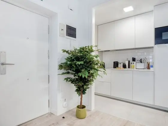 Apart Daire, 1 Yatak Odası, Balkon