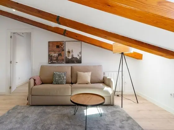 Apart Daire, 2 Yatak Odası (Duplex)