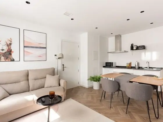 Apart Daire, 1 Yatak Odası (L)