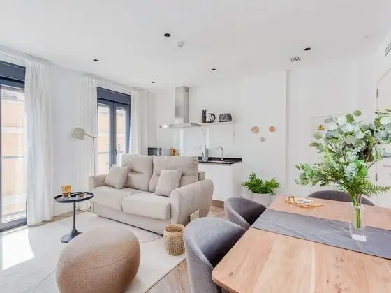 Apart Daire, 1 Yatak Odası (XL)