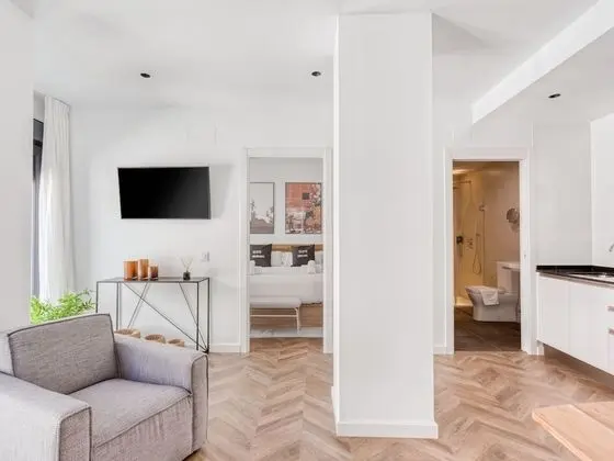 Apart Daire, 1 Yatak Odası (XL)