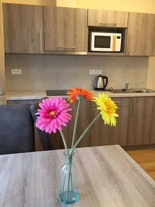 Stüdyo, 1 Yatak Odası, Mutfak