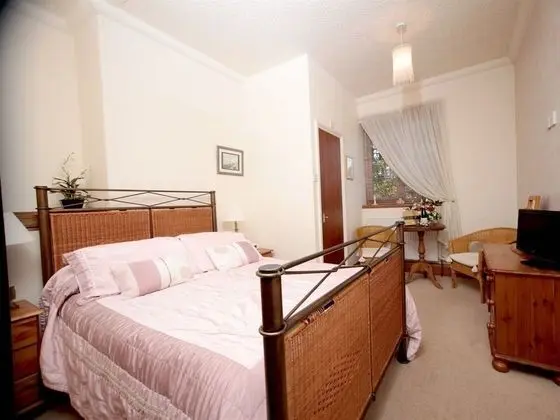Classic Tek Büyük Yataklı Oda, Banyolu/Duşlu (Double room)