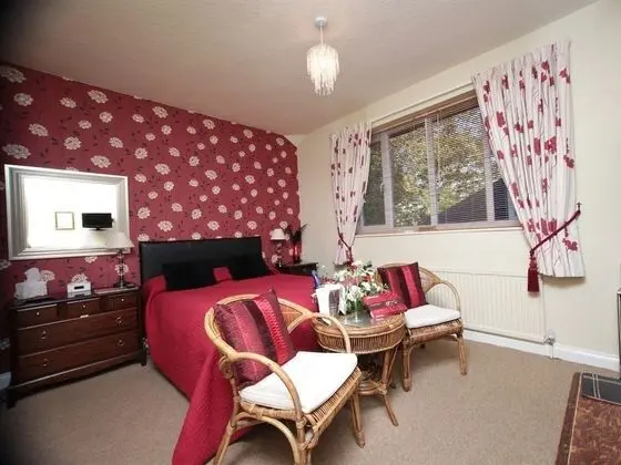 Classic Tek Büyük Yataklı Oda, Banyolu/Duşlu (Double room)