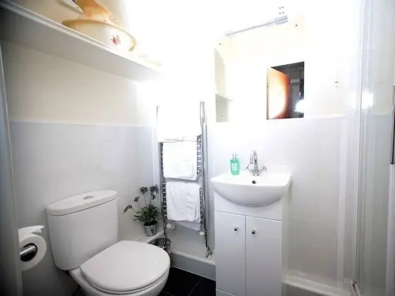 Classic Tek Büyük Yataklı Oda, Banyolu/Duşlu (Double room)