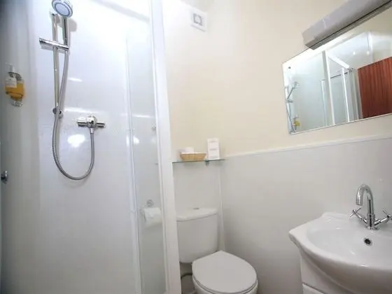 Classic Tek Büyük Yataklı Oda, Banyolu/Duşlu (Double room)