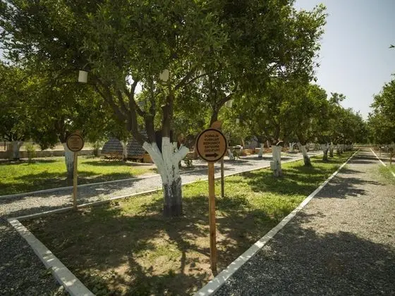 Bungalow, Bahçe Manzaralı, Balkonlu