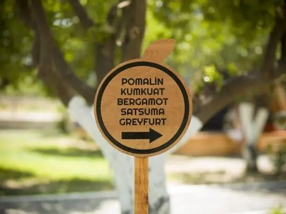 Bungalow, Bahçe Manzaralı, Balkonlu