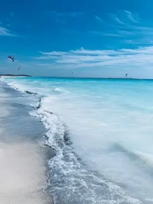 Daire, 2 Yatak Odası, Teras