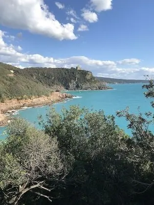 Daire, 2 Yatak Odası, Teras