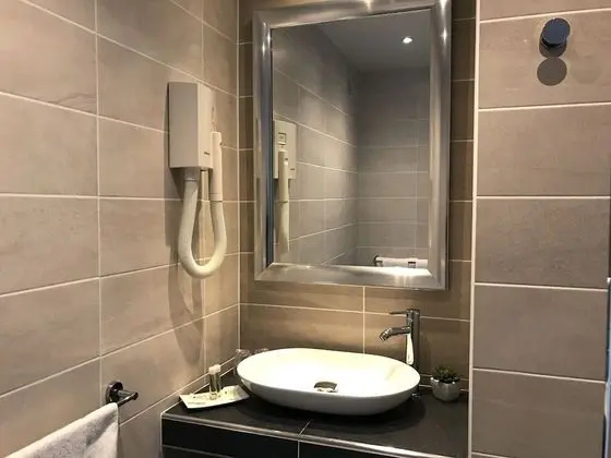 Tek Büyük Yataklı Oda (Verger)