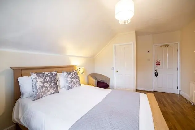 Standard Tek Büyük Yataklı Oda, 1 Çift Kişilik Yatak