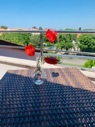 Oda, 1 Yatak Odası, Balkon