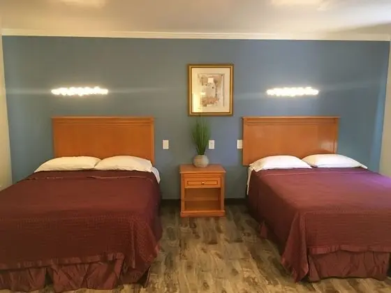 Comfort Kır Evi, 1 Yatak Odası