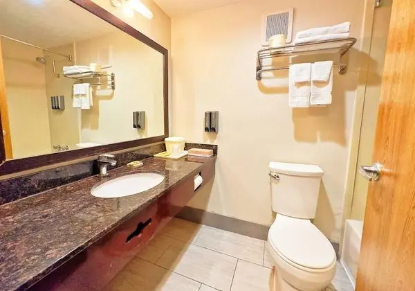 Basic Tek Kişilik Oda, 1 En Büyük (King) Boy Yatak, Özel Banyo