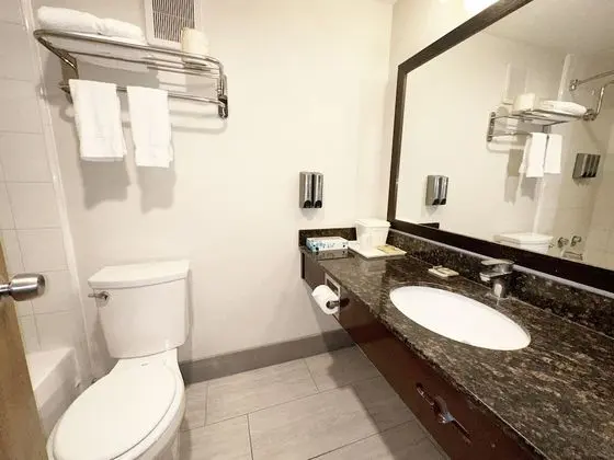 Basic Tek Kişilik Oda, 1 En Büyük (King) Boy Yatak, Özel Banyo