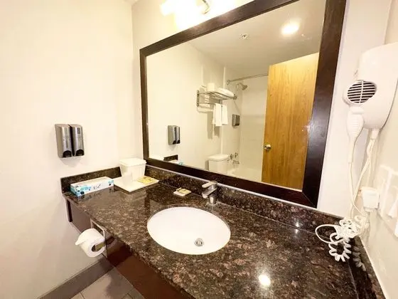 Basic Tek Kişilik Oda, 1 En Büyük (King) Boy Yatak, Özel Banyo
