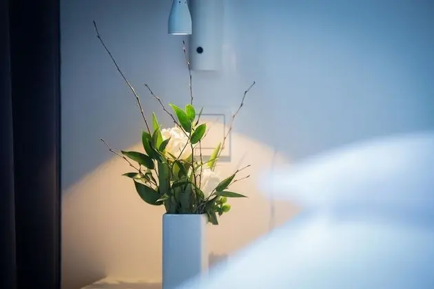 Economy Tek Büyük Yataklı Oda ( Mini)