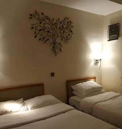 Superior İki Ayrı Yataklı Oda, Banyolu/Duşlu