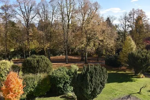 Tek Büyük Yataklı Oda, Balkon, Bahçe Manzaralı