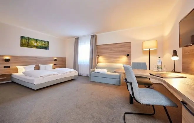 Business Tek Büyük Yataklı Oda, 1 Yatak Odası