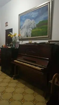 Basic Tek Kişilik Oda, 1 Tek Kişilik XL Yatak, Sigara İçilebilir