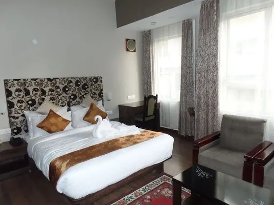 Deluxe Tek Büyük veya İki Ayrı Yataklı Oda