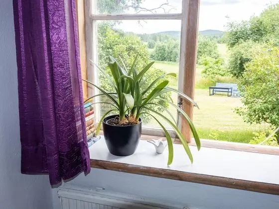Tek Kişilik Oda (Sommarängen)