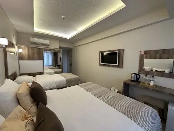 Family Üç Kişilik Oda, Birden Çok Yatak, Sigara İçilmez, Şehir Manzaralı