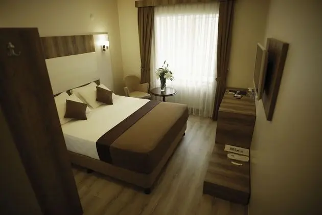 Standard Tek Büyük Yataklı Oda, 1 Büyük (Queen) Boy Yatak, Sigara İçilmez, Şehir Manzaralı